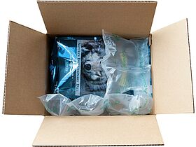 csm_Fill-air-8_5daaa02a31.jpg