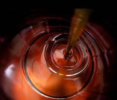 csm_oil-1_5393994ebe.jpg